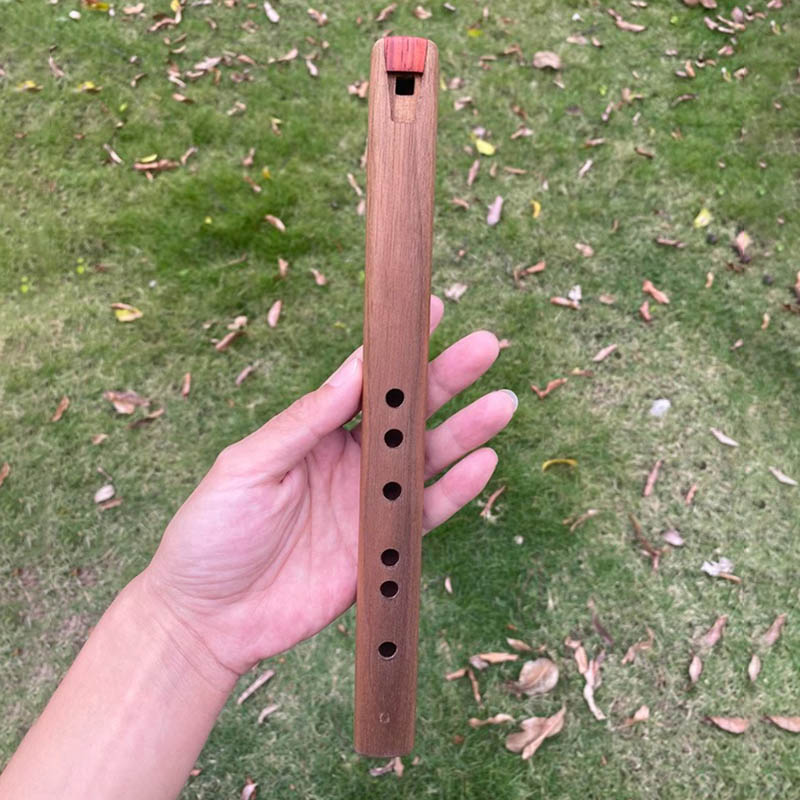 Tin Whistle Flute - 6 Holes Short Flute G Key
