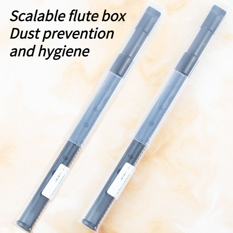 6 Hole Resin Tin Whistle D Key – Penny Whistle D recenzja i cena