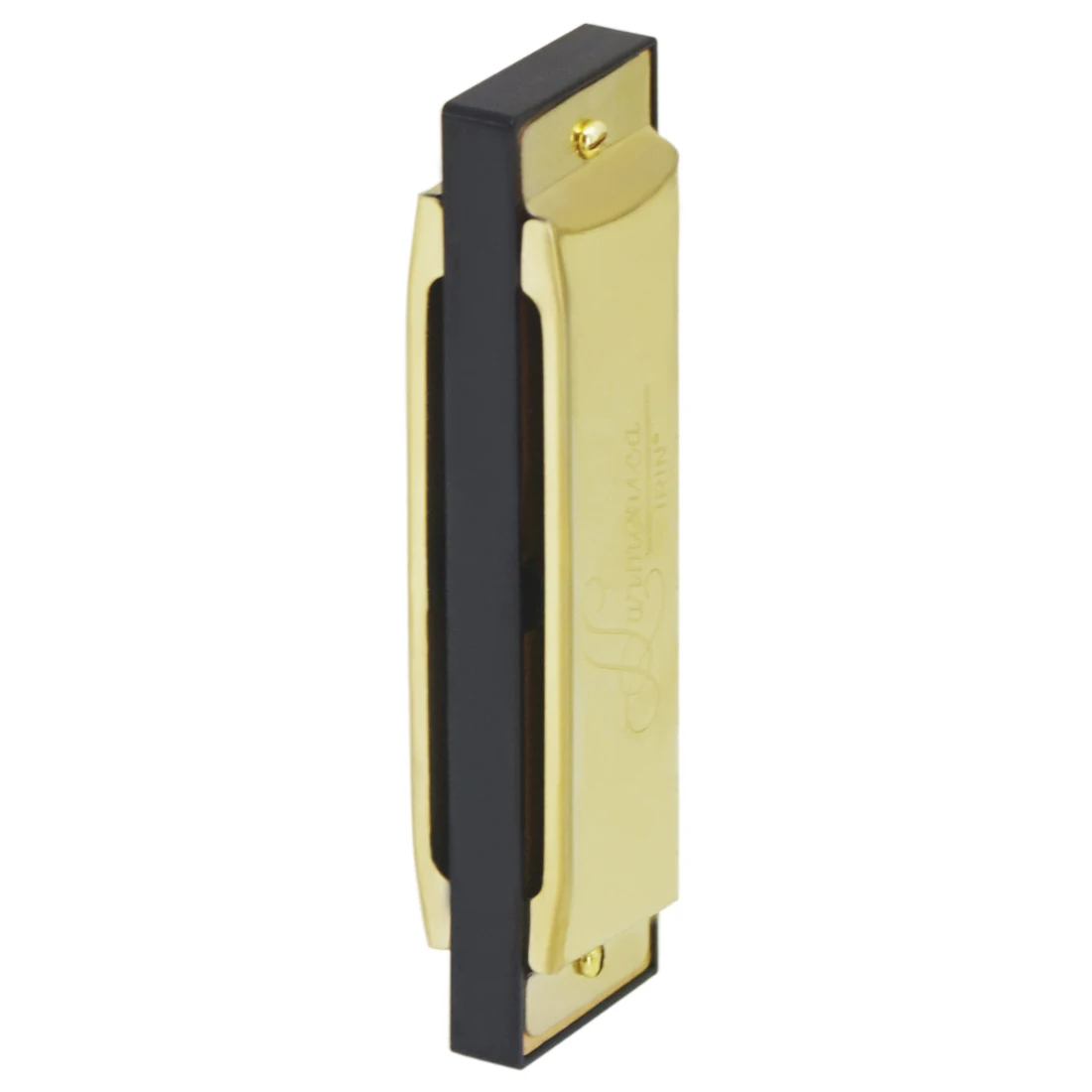 IRIN Harmonica 10 Hole 20 Tone – Musical Instruments Names recenzja i cena