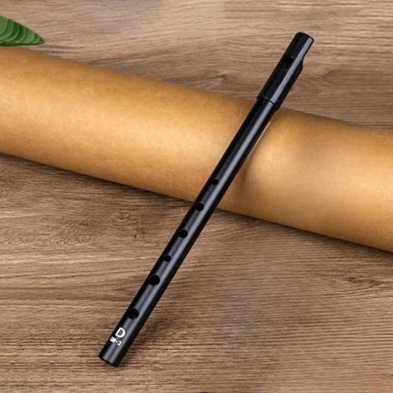 D Key Tin Whistle Beginner Chi – Penny Whistle D recenzja i cena