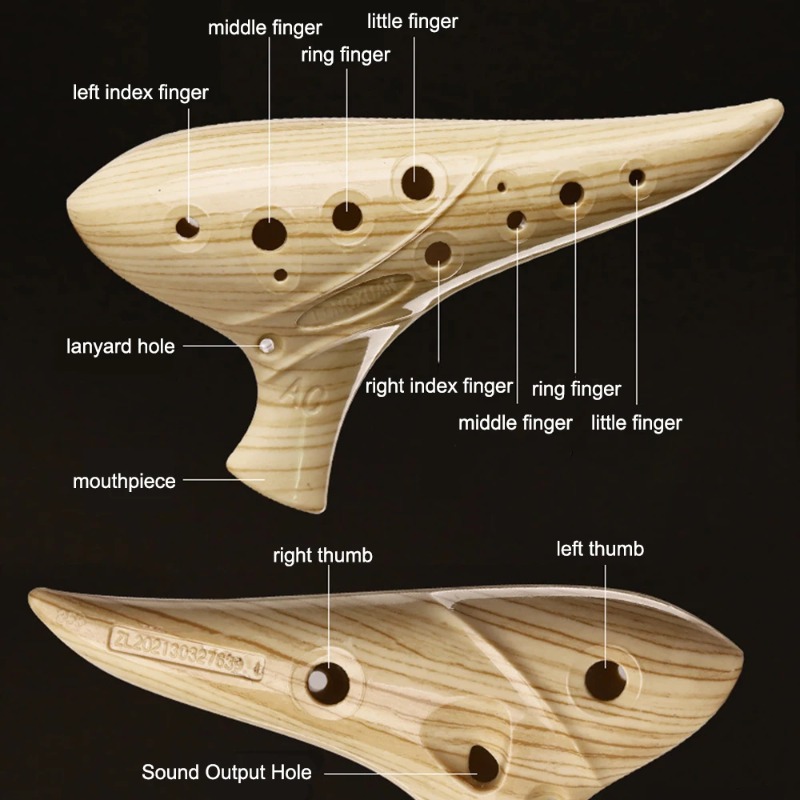 12 Hole Ocarina for Beginners  – Musical Instrument Easy To Learn recenzja i cena
