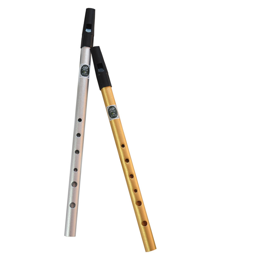 Irish Whistle Flute C/D Key Ir – Penny Whistle D recenzja i cena