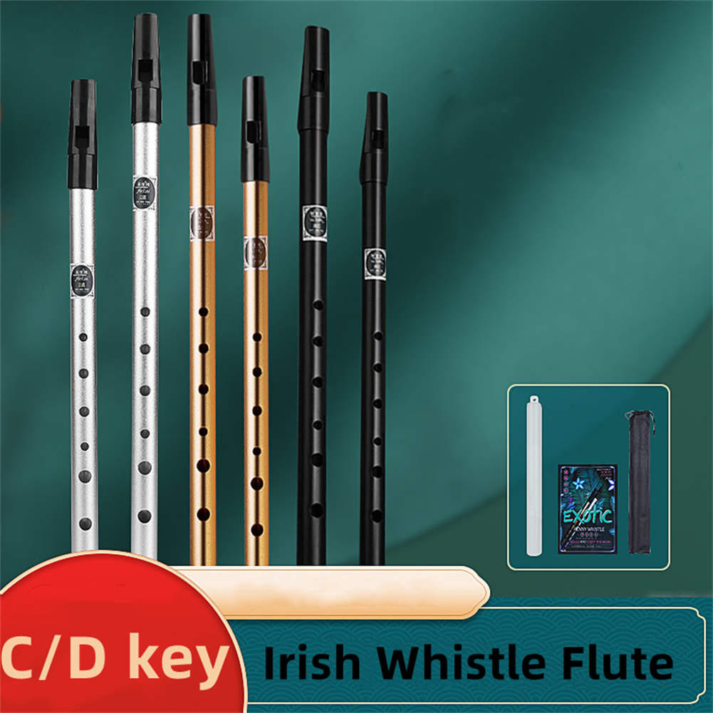 Irish Whistle Flute C/D Key Ir – Penny Whistle D recenzja i cena