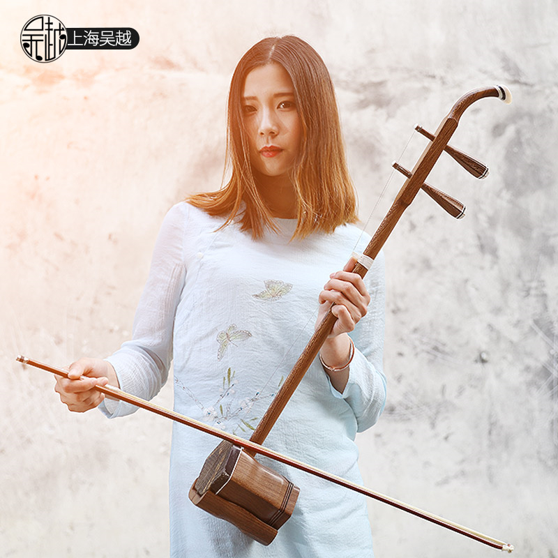 Chinese Folk String Instrument – Musical Instrument Book recenzja i cena