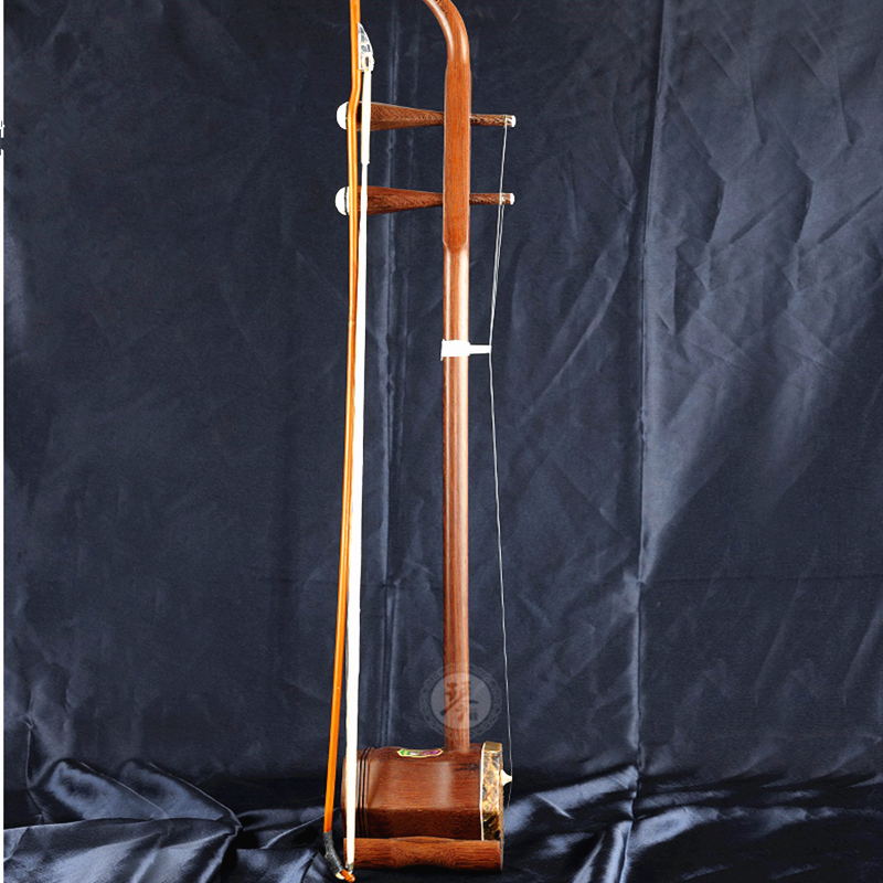 Chinese Folk String Instrument – Musical Instrument Book recenzja i cena