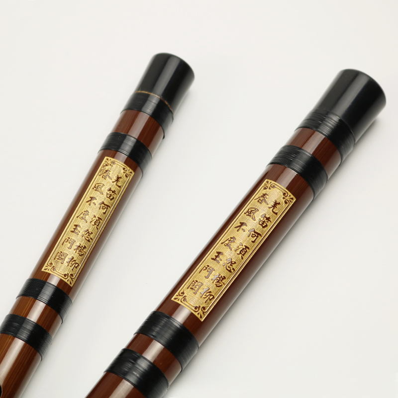 Professional Playing Bitter Ba – Musical Instrument Ending In A recenzja i cena