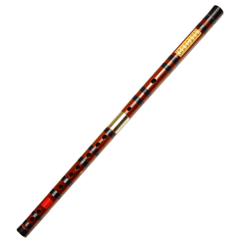 Professional Playing Bitter Ba – Musical Instrument Ending In A recenzja i cena