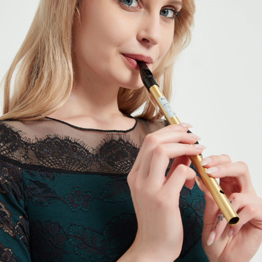 NAOMI Tin Whistle D Key Brass  – Penny Whistle D recenzja i cena