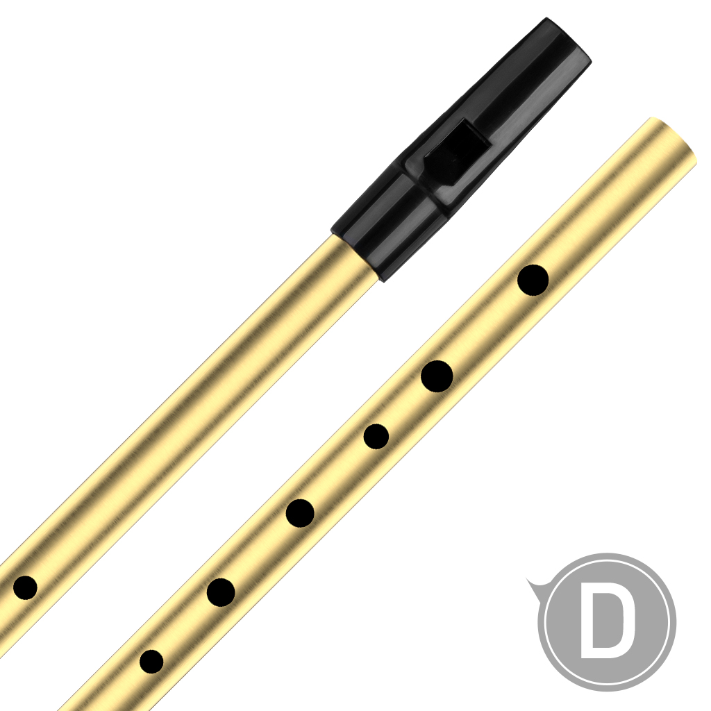 NAOMI Tin Whistle D Key Brass  – Penny Whistle D recenzja i cena