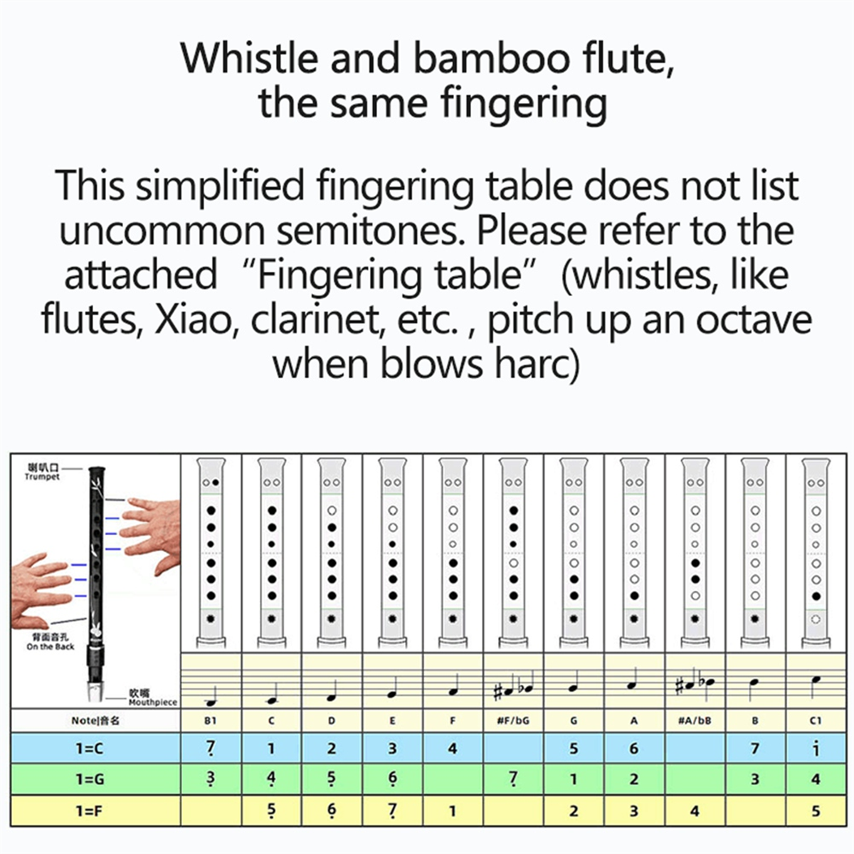 ABXHH 6 Holes Irish Tin Penny  – Penny Whistle D recenzja i cena