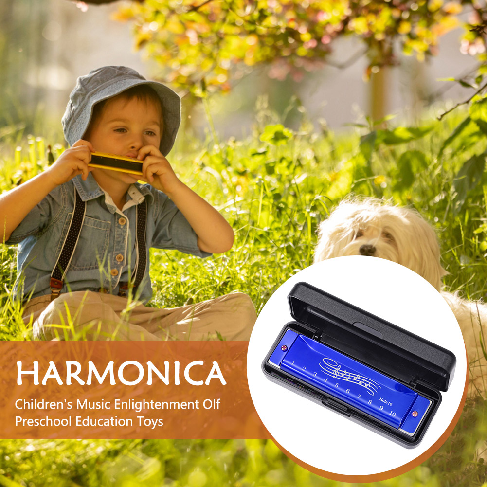 10 Hole 20 Tone Harmonica Earl – Musical Instrument Easy To Learn recenzja i cena