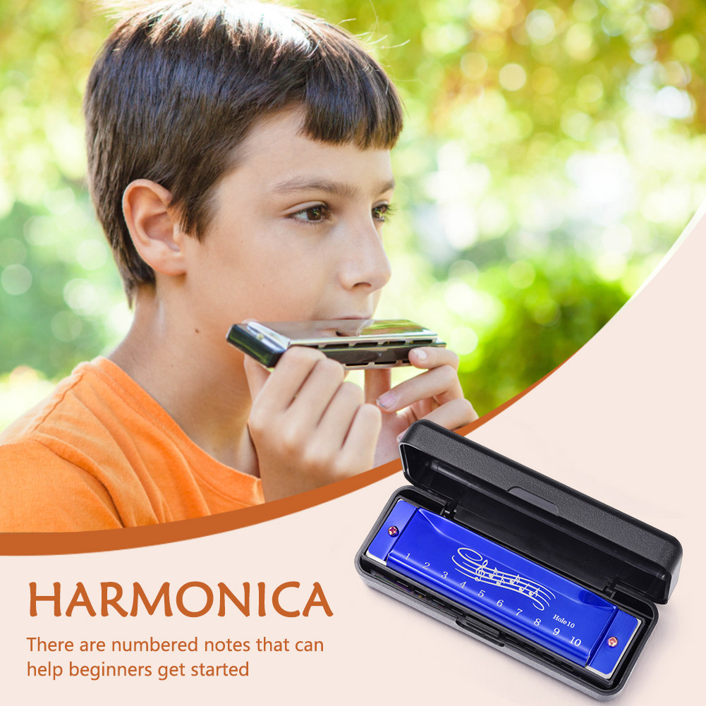 10 Hole 20 Tone Harmonica Earl – Musical Instrument Easy To Learn recenzja i cena