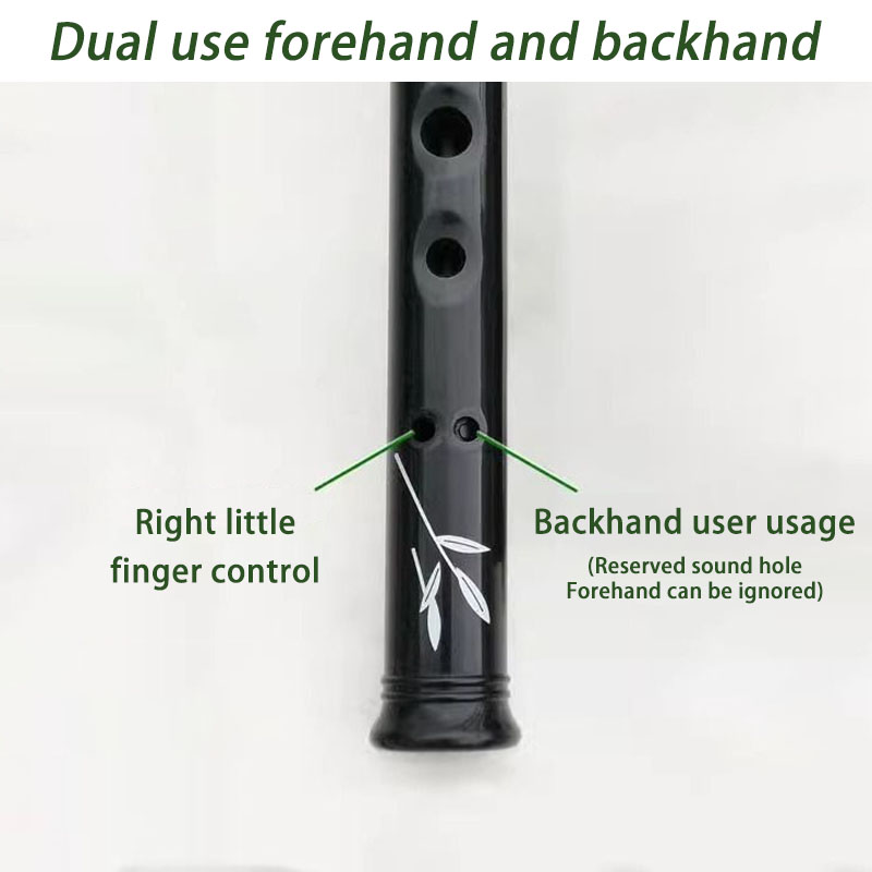 D/C Key Resin Penny Whistle Ad – Penny Whistle D recenzja i cena