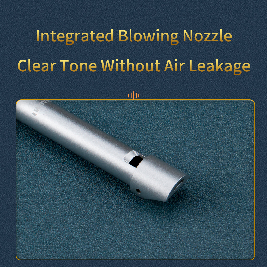NAOMI High D Aluminum Alloy Pe – Penny Whistle D recenzja i cena