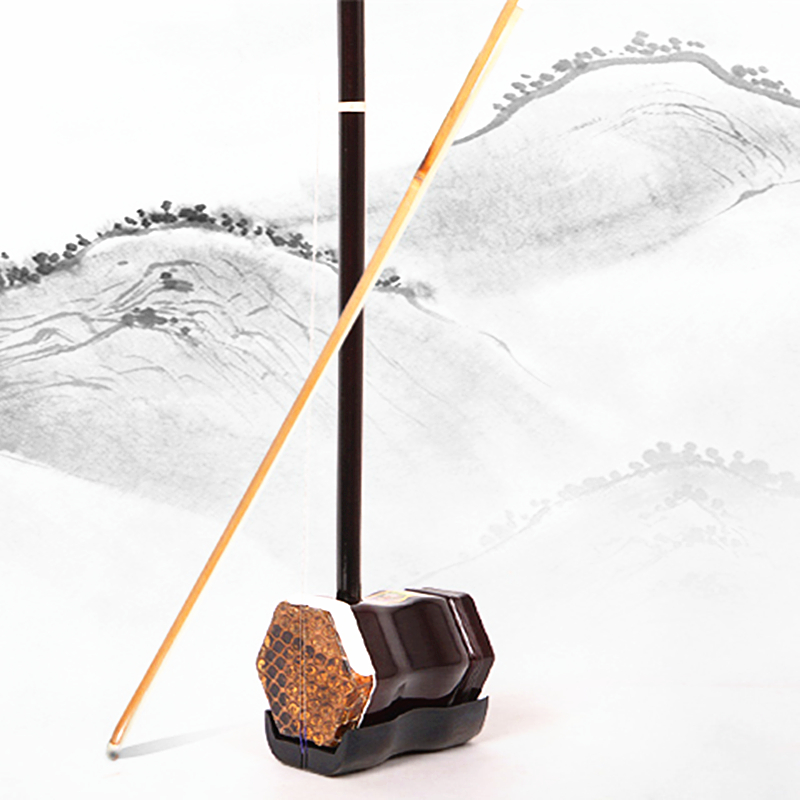 Chinese Huqin Erhu 01A1 String – Musical Instrument Video recenzja i cena