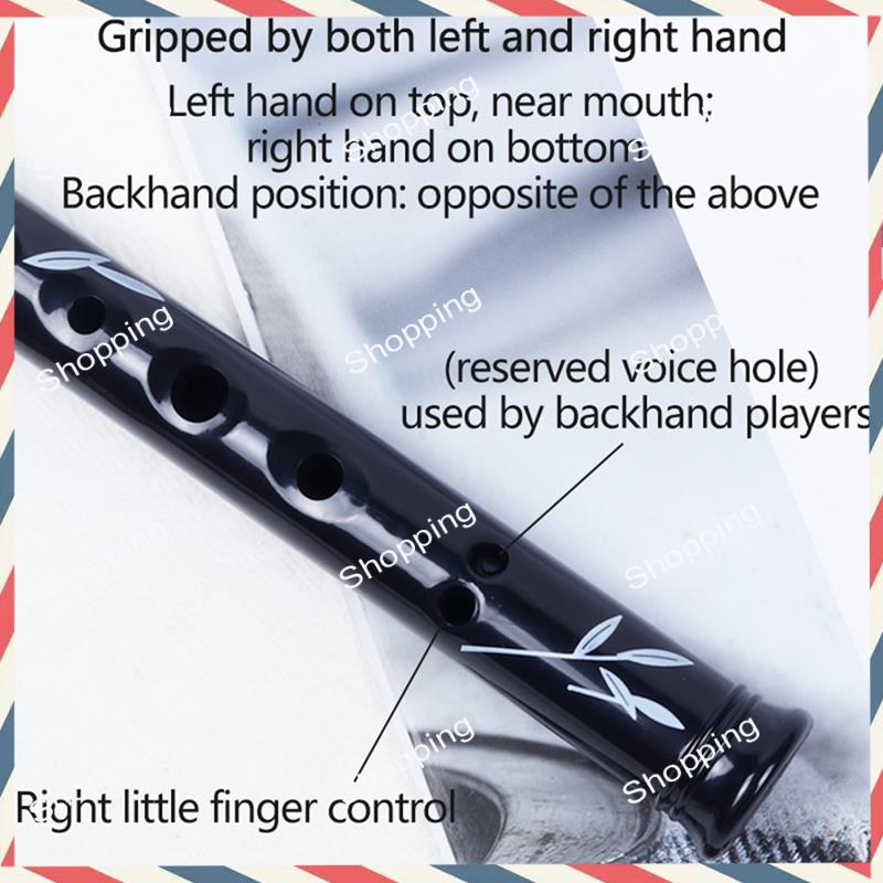 A44M 6 Holes Irish Tin Penny W – Penny Whistle D recenzja i cena