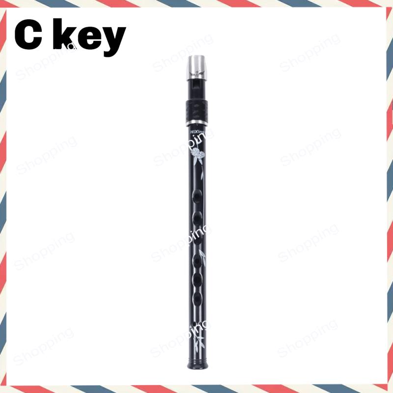 A44M 6 Holes Irish Tin Penny W – Penny Whistle D recenzja i cena