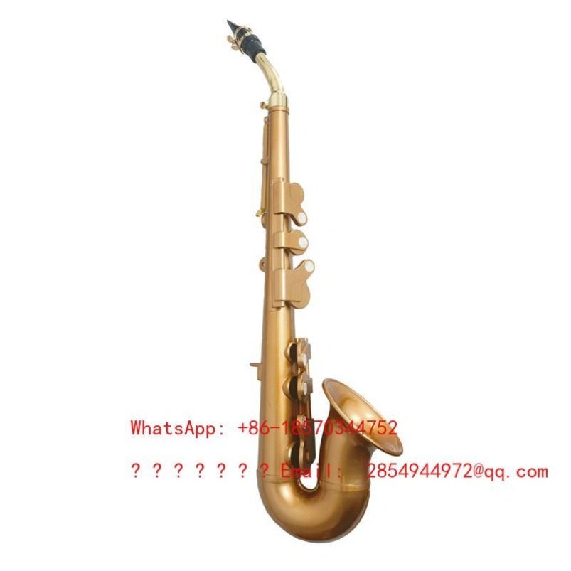 Resin Saxophone Musical Instru – Musical Instrument Easy To Learn recenzja i cena