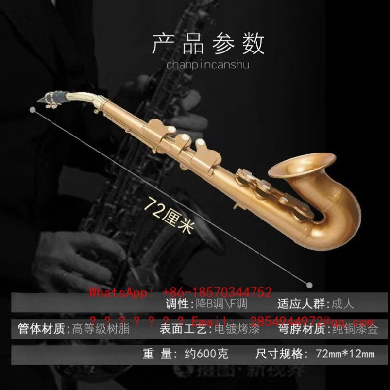 Resin Saxophone Musical Instru – Musical Instrument Easy To Learn recenzja i cena