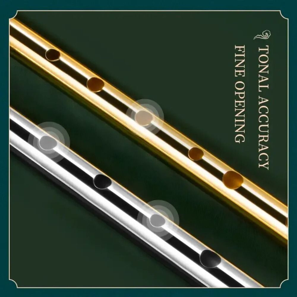 6 Holes C/D Key Irish Whistle  – Tin Whistle Flute recenzja i cena