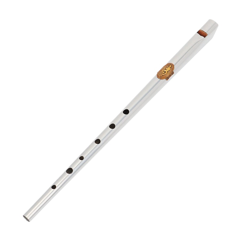 D/C Key Tin Whistle Student Be – Tin Whistle Flute recenzja i cena