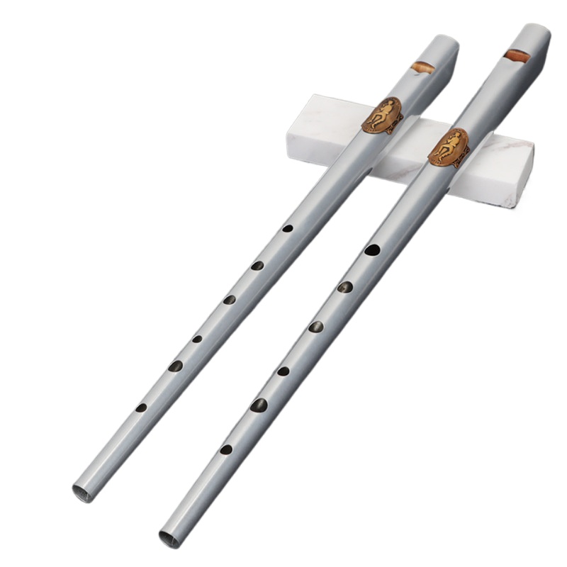 D/C Key Tin Whistle Student Be – Tin Whistle Flute recenzja i cena