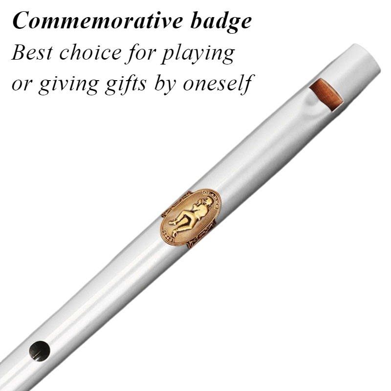 D/C Key Tin Whistle Student Be – Tin Whistle Flute recenzja i cena