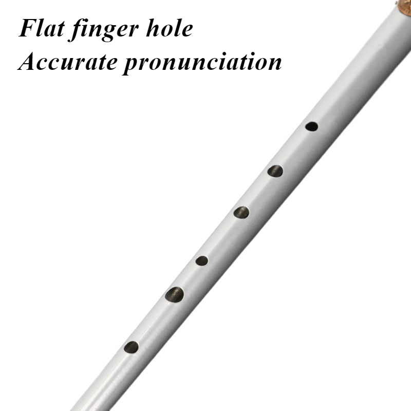 D/C Key Tin Whistle Student Be – Tin Whistle Flute recenzja i cena
