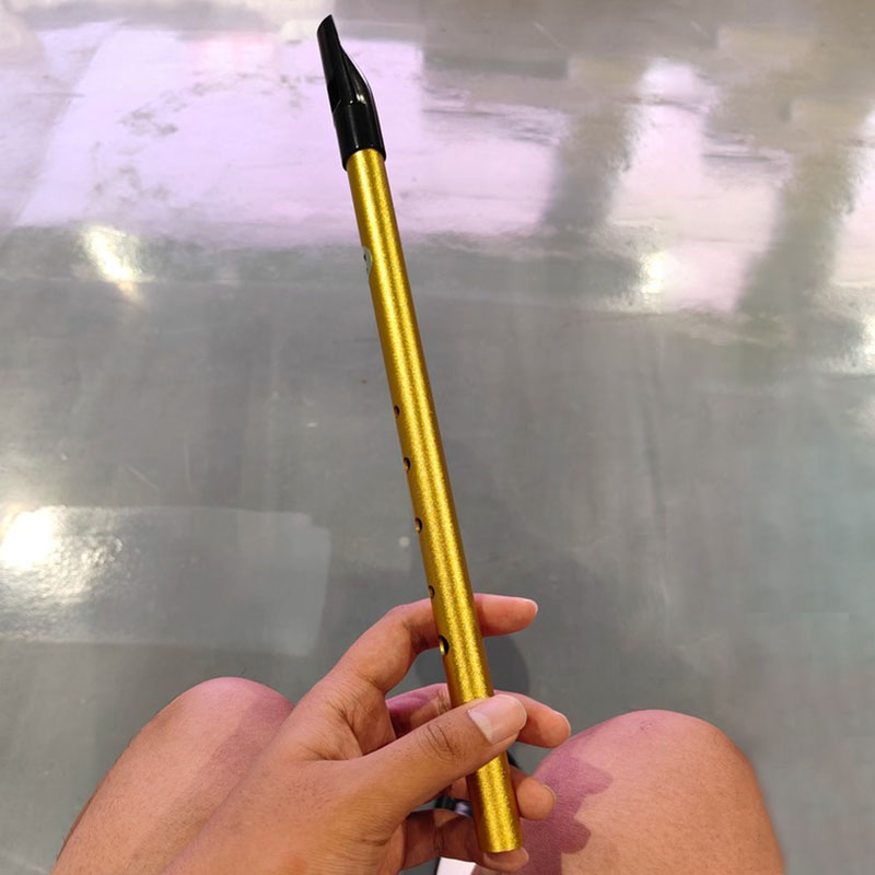6 Hole Penny Whistle Student P – Tin Whistle Flute recenzja i cena