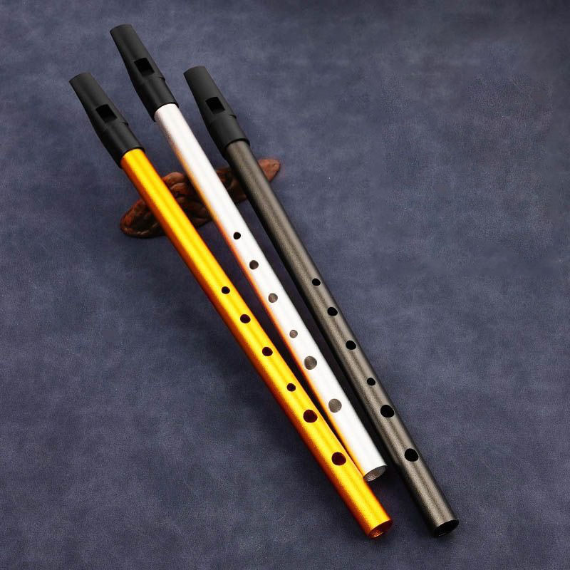 6 Hole Penny Whistle Student P – Tin Whistle Flute recenzja i cena